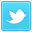 Twitter Icon